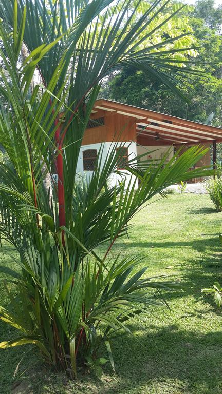 Los Delfines Lodge Puerto Viejo de Talamanca Ruang foto
