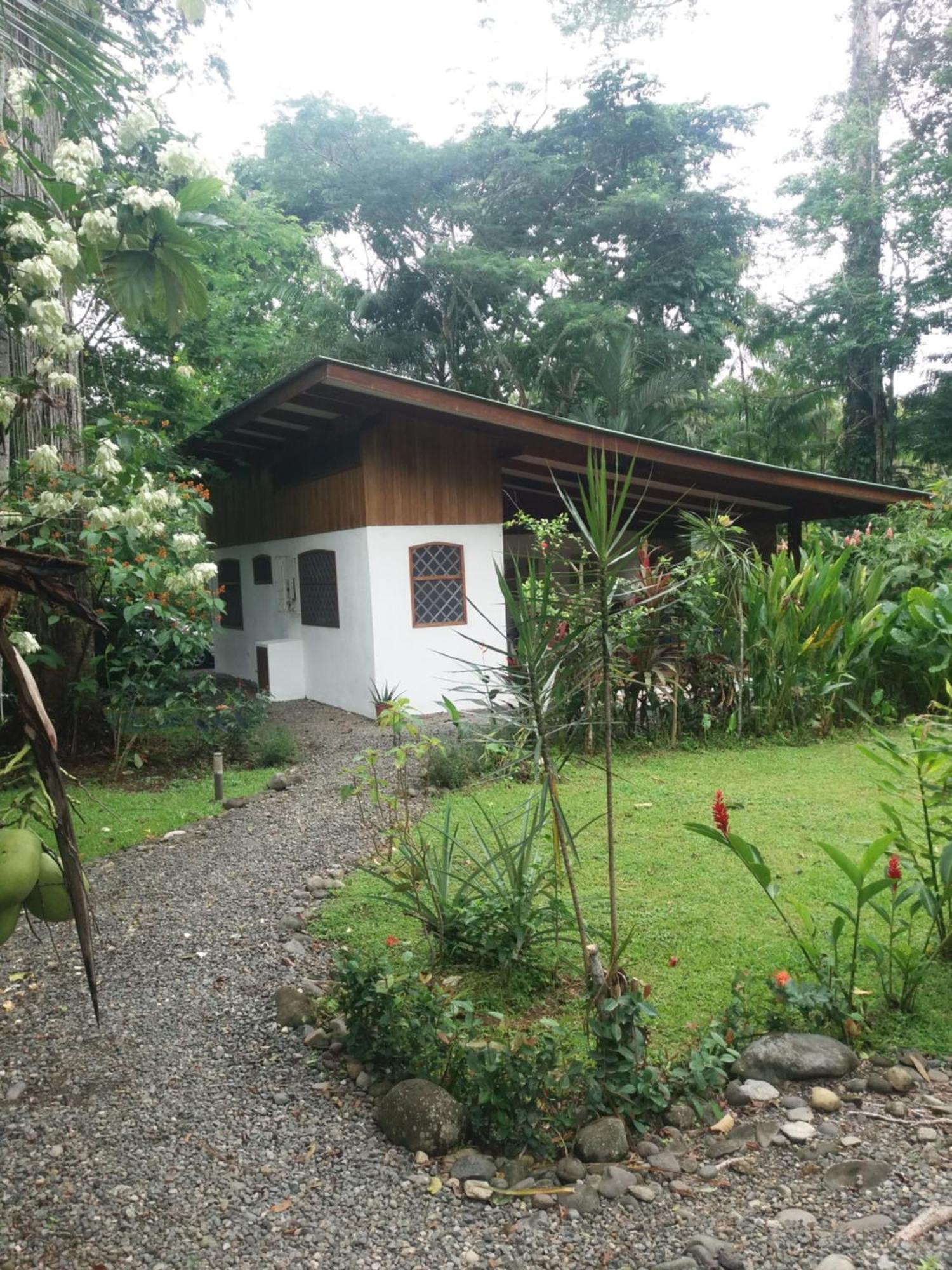 Los Delfines Lodge Puerto Viejo de Talamanca Bagian luar foto